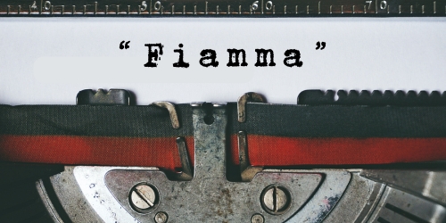 Copertina dell’editoriale «Fiamma»
