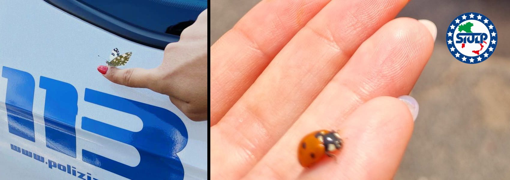 Una farfalla posata sul dito di un operatore accanto alla livrea di un'auto della Polizia Stradale, e una coccinella su una mano.